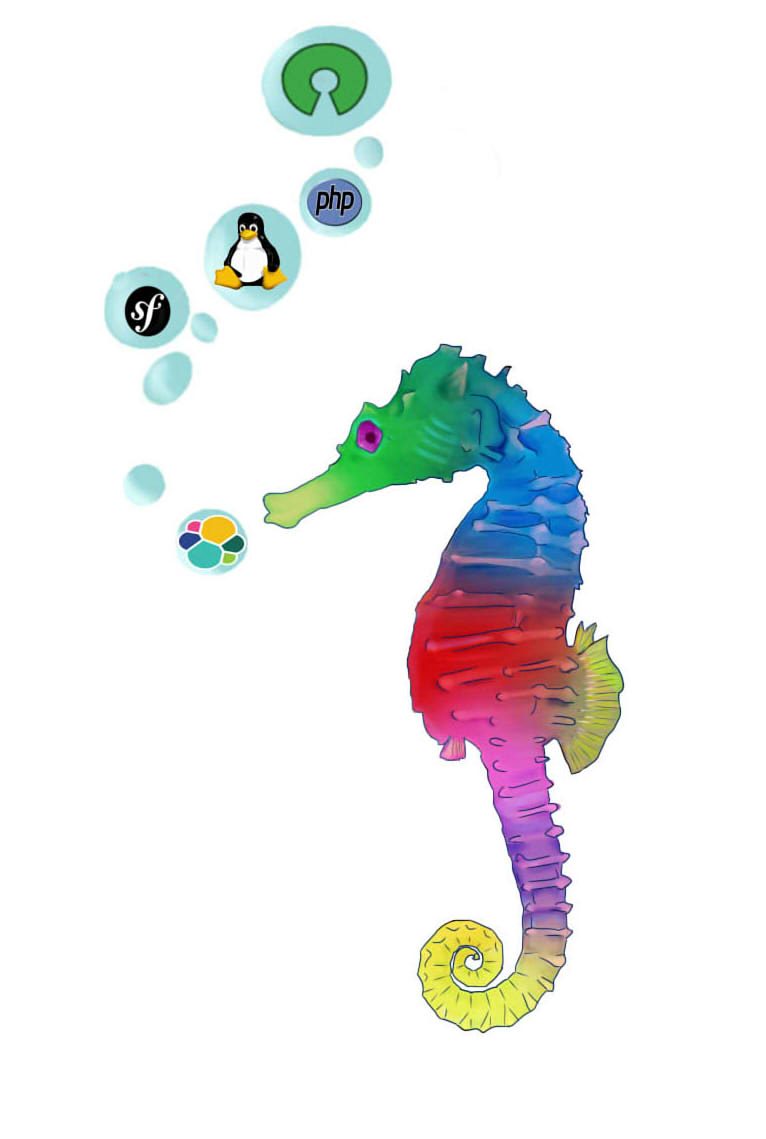 hippo7